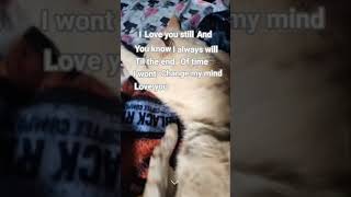 my beautiful baby🥺🫶✨️🐱#cat #cute #kitty #bjorn #mybaby #sad #happy #wholesome #fypシ