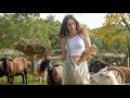Raw Reality of Off Grid Farm Life: Baby Goats Born and Our Roof Blew Off (Ep. 4)