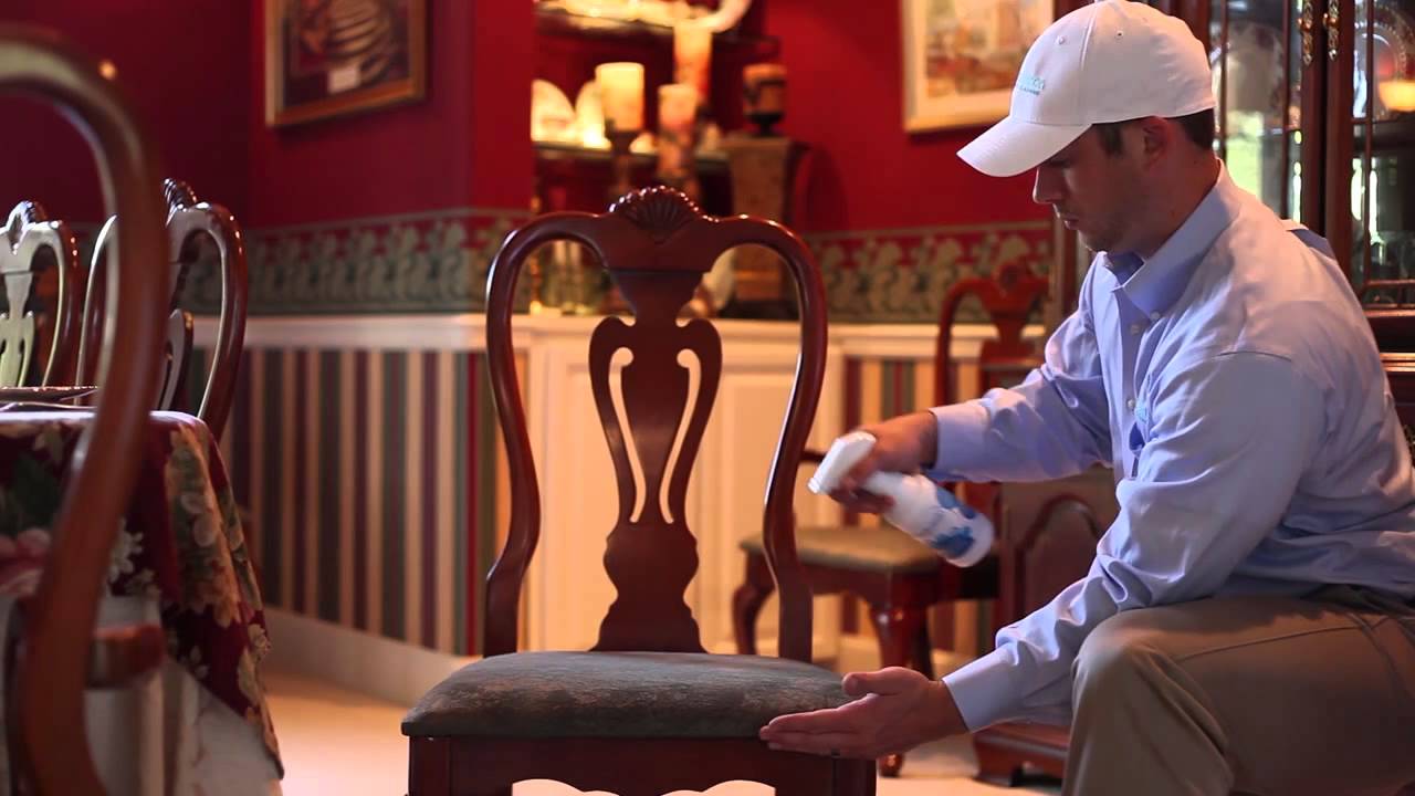 Upholstery Cleaning Seattle Pure Clean 2063534155 YouTube