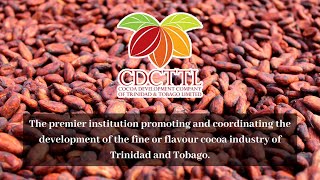 The Cocoa Development Company of T&T Ltd : Company Profile