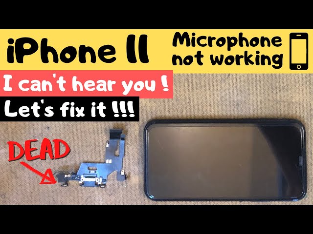 Iphone 11 Mic Not Working 