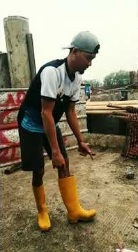 Goyang nungging
