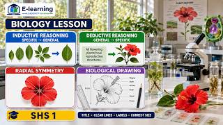 Biology 5 | Biological Drawing Rules + Inductive & Deductive Reasoning | SHS 1