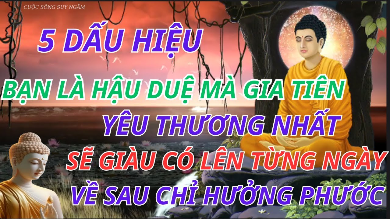 5 Dấu Hiệu Bạn Là Hậu Duệ Được Tổ Tiên Yêu Thương | CUỘC SỐNG SUY NGẪM