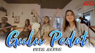 Vita Alvia - Gulu Pedot | Kentrung Version