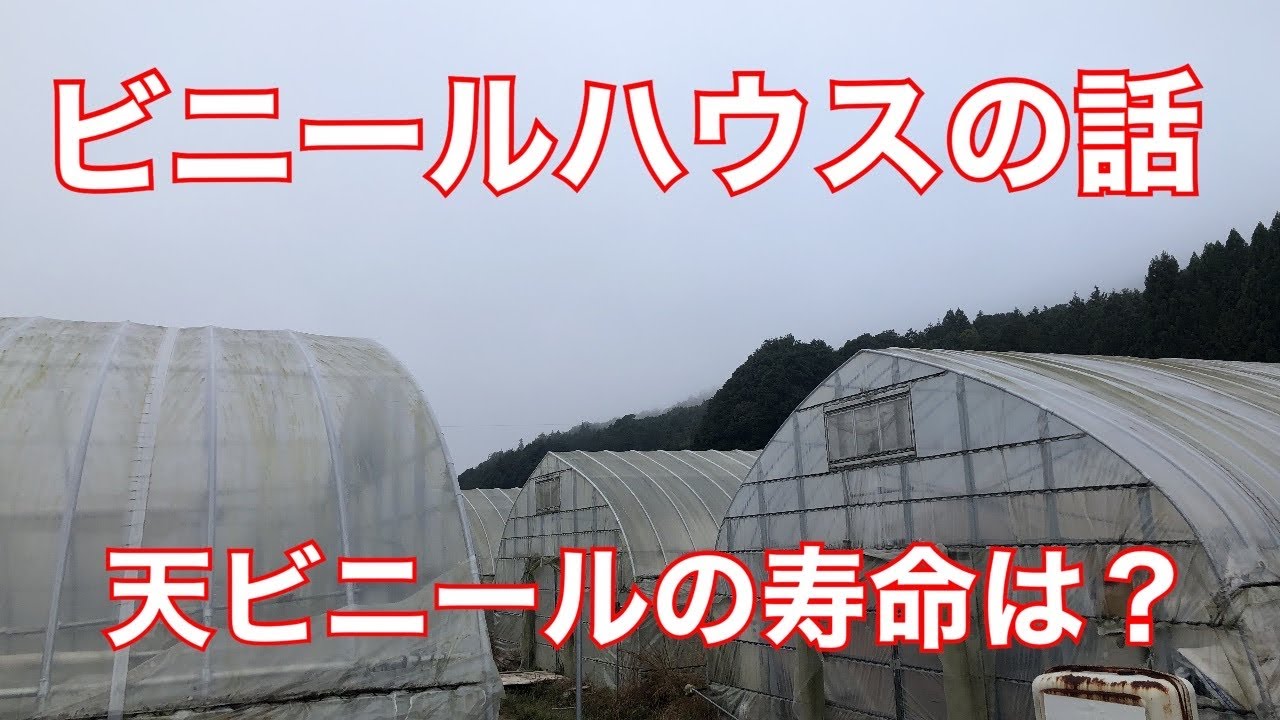 ビニールハウスの話し ビニールの厚みとか寿命の話し Youtube ビニールハウスの話し ビニールの厚みとか寿命の話し Youtube