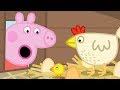페파피그 | 한글 | 시즌2 13~26 회 연속보기 | 꿀꿀! 페파는 즐거워 | 어린이 만화 | Peppa Pig Korean