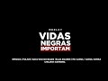 MEDLEY: Vidas Negras Importam (Feat. Baco Exu do Blues,  Mc Cidinho e MC Bob Rum) (Skaii Remix)