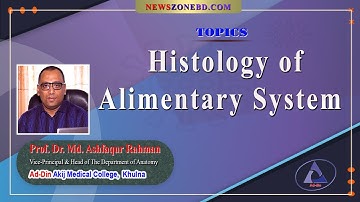 Histology of Alimentary System II Prof. Dr. Md. Ashfaqur Rahman II Dept. Of Anatomy II AAMC