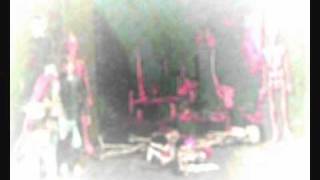 Attack Of The Killer Spiders