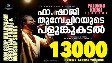 PALUNKUKADAL | Non Stop Malayalam Christian Praise & Worship Songs | Fr. Shaji Thumpechirayil