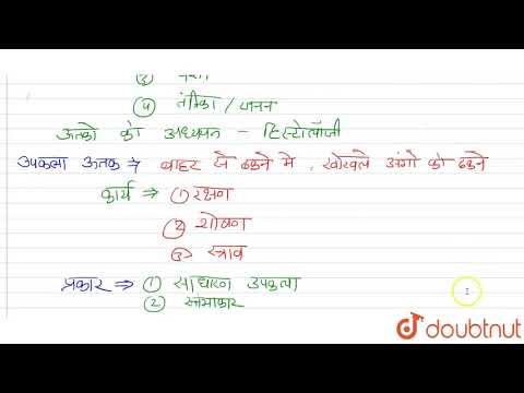 उत्तक की परिभाषा दीजिए | उपकला उत्तक (एपिथेलियल) की विशेषताएं, प्रकार एवं कार्य लिखिए |