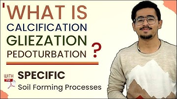 Specific Soil Forming Process - Calcification, Gleization And Pedoturbation