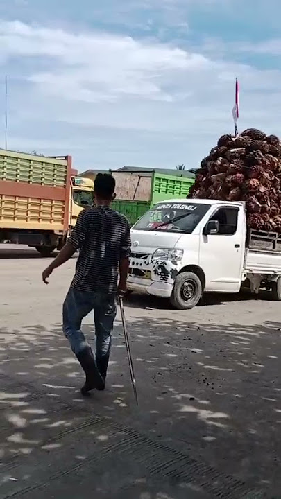 Mobil Pick Up Sulawesi Muatan Sawit Overload‼️