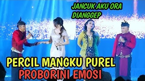 Cak Percil cs - Proborini Emosi Mergo Ora Dianggep