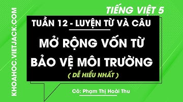 Luyện từ và câu Mở rộng vốn từ bảo vệ môi trường - Tuần 12 - Tiếng Việt lớp 5 (DỄ HIỂU NHẤT)