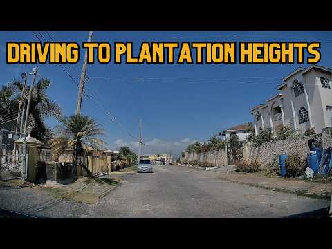 Driving from The University Of Technology to Plantation Heights | 876 By Birth