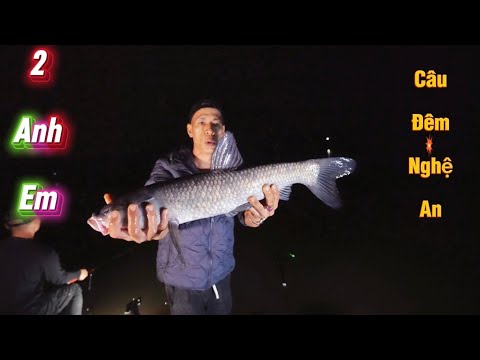 Mang Quà Thái Nguyên Vào Cho Hồn Loà