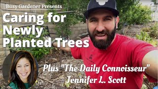 Caring For Newly Planted Fruit Trees The Daily Connoisseur, Jennifer L. Scott The Busy Gardener