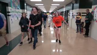 Silver Spring Mini Mini THON Commercial