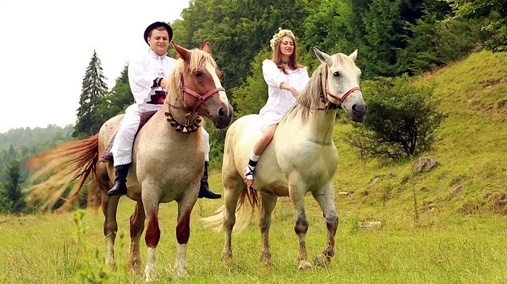Alexandru Pop - Doi cai suri și o mândruță