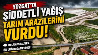 Yozgat'ta şiddetli yağış tarım arazilerini vurdu