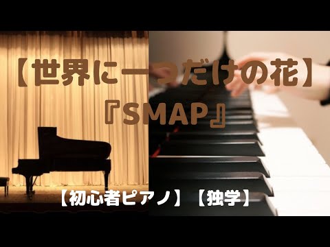 【世界に一つだけの花】『SMAP』【ピアノ初心者】【独学】YouTube動画、ほぼ毎日投稿、1ヶ月続けました！
