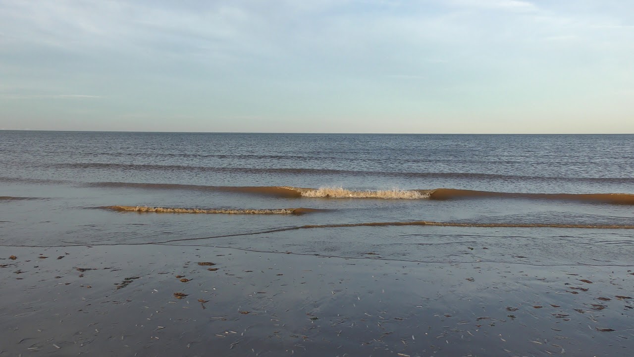 airshow schedule upload Flat sea babrely any waves seen Titchwell Norfolk 14nov18 310p