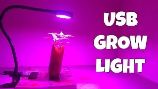 Testing out an indoor USB grow light with some freshly planted cayenne pepper seeds. Why would you want to grow plants indoors