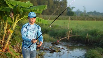 Câu lure tại Tân Phước Tiền Giang, hôm nay trúng điểm cá ăn mạnh