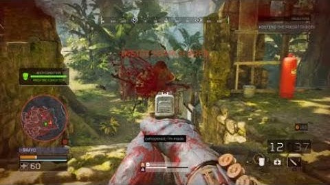 How to Win A 1v1 Verse Predator: (Predator: Hunting Grounds)