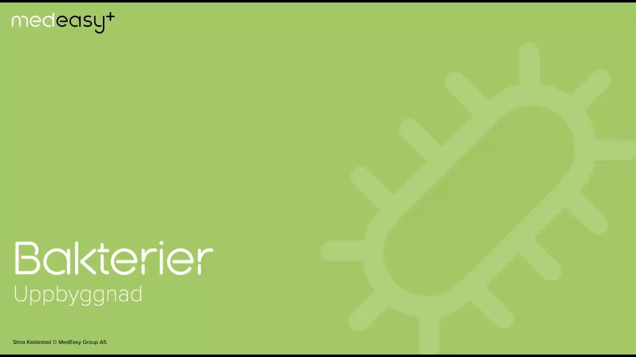 Mikrobiologi: Bakteriens uppbygnad