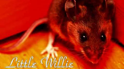 "Little Willie" - A Children's Gospel Story, by Re...