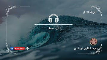 ما تيسر من سورة النحل   بصوت القارئ أبو أنس