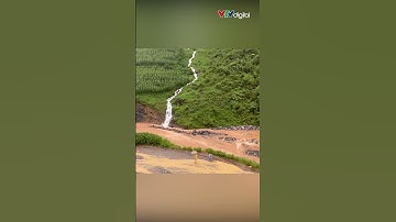 Hà Giang mưa rất lớn gây ngập lụt nghiêm trọng, lũ khẩn cấp trên sông Lô | VTV24