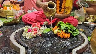 Jai shiv Jai baba baidyanath 🙏 🕉आज का प्रात: कालीन सरदारी पूजा जय शिव हर हर महादेव 🙏 🕉 28/5/2024