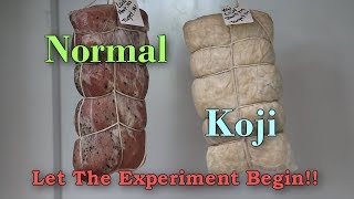 Curing A Pork Loin (Canadian Bacon Style with koji experiment) Part 2