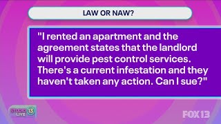 Law or Naw: Local lawyers answer your legal questions
