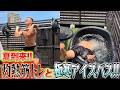 夏が来た！！！最高な夏の過ごし方