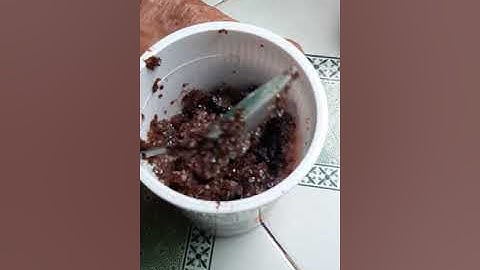 Cách ăn trái Quách đặc sản miền tây.