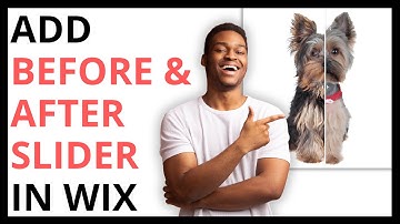 How to Add Before and After Slider in Wix [QUICK GUIDE]