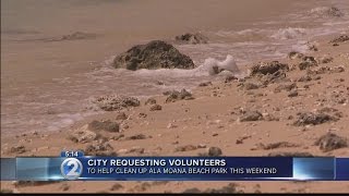 City seeks volunteers to help remove rocks from Ala Moana beach