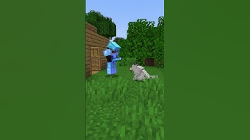 Which type of Minecraft player are you ? #shorts