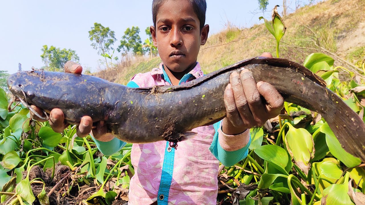 Best Hand Fishing - Amazing By Catching Big Catfish By Hand From Mud ...