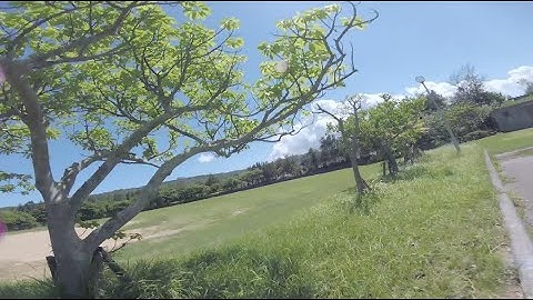 Betaflight 3.4, Armattan Chameleon
