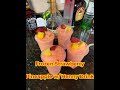 How To Make Frozen Strawberry/Pineapple Hennessy Drinks with Recipe.
