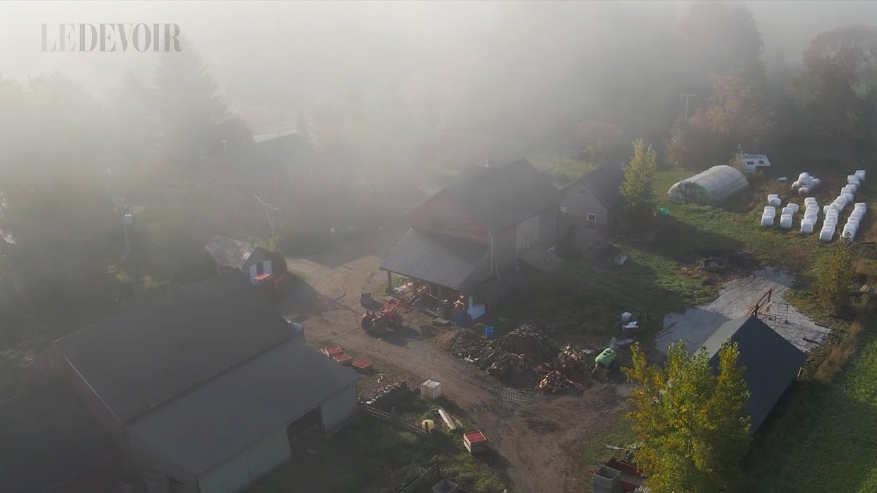 Coin de pays | Frelighsburg, un village tissé serré