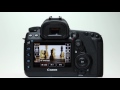 Canon EOS 5D Mark IV: Video AF Operation and Features