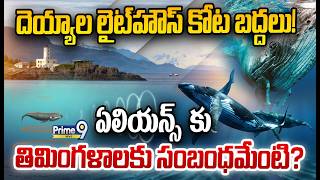 Ghost Lighthouse: Secrets of the Humpback Whales : దెయ్యాల లైట్హౌస్ కోట బద్దలు!
