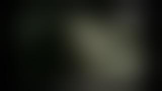 Shirin Neshat's Women Without Men